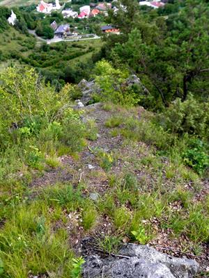pohlad na mikrolokalitu E v blizkosti najvyssieho bodu lokality